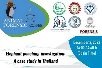 Elephant poaching investigation: A case study in Thailand