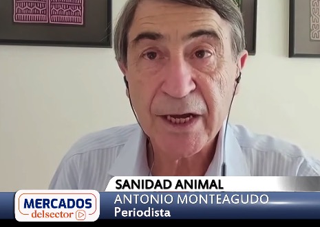 Antonio Monteagudo - Sanidad Animal