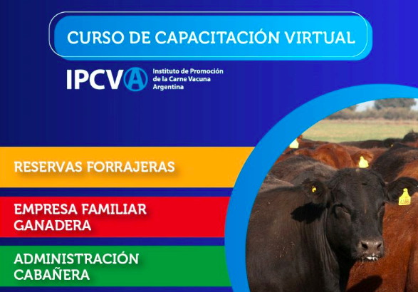 Cursos virtuales del IPCVA