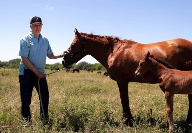 Hito de la ciencia argentina: por primera vez en el mundo nacieron caballos editados genéticamente