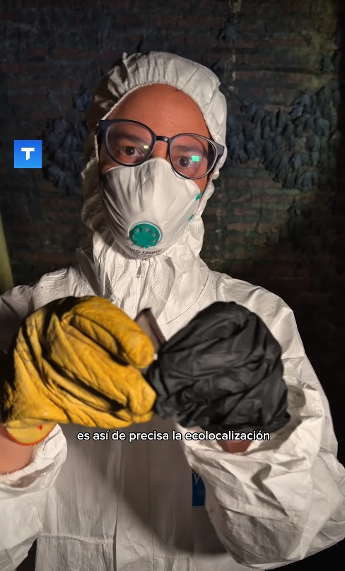 Screen Shot 2026 03 02 at 09.32.38