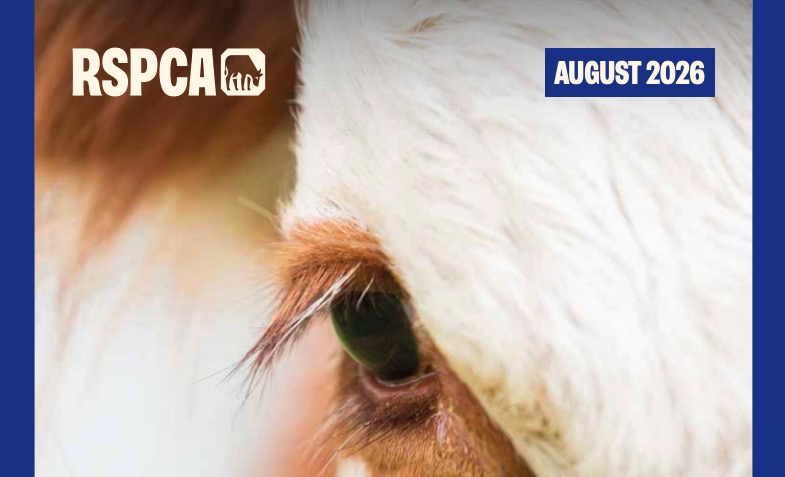 Beef Cattle Welfare Standards 2026