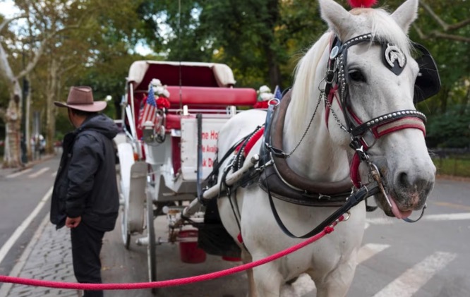 Nueva York prohibió los carruajes tirados por caballos